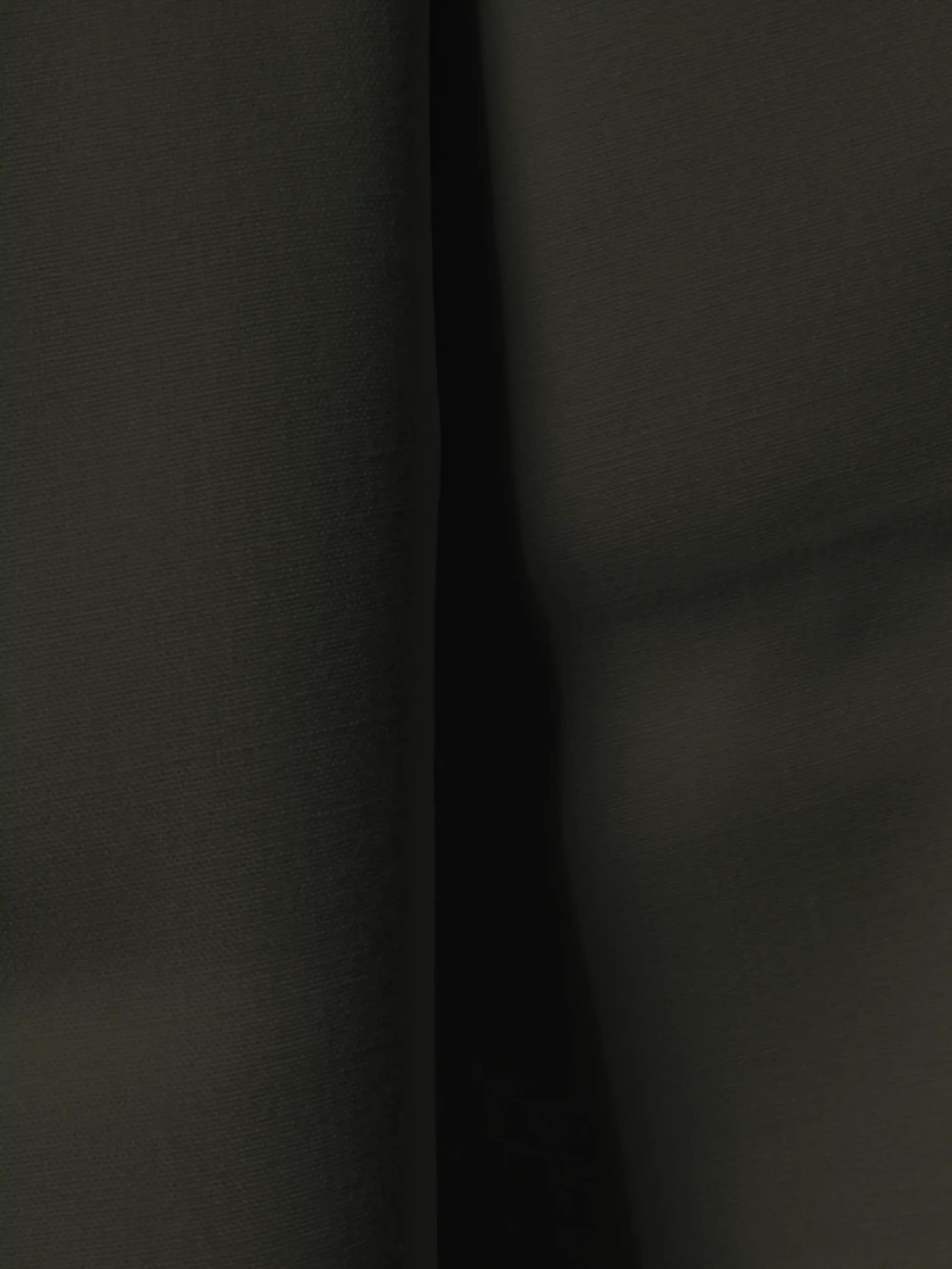Olive Brown